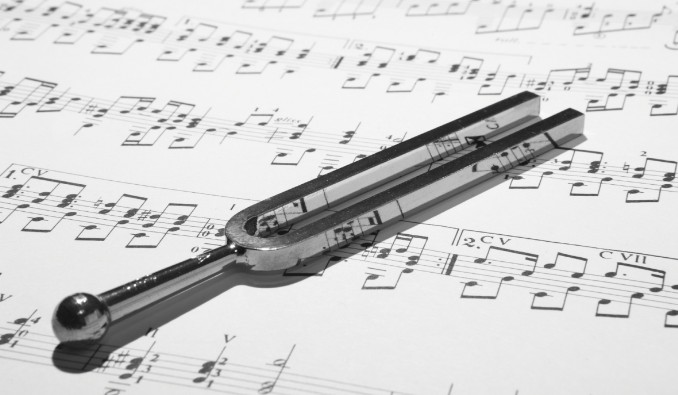 Musicisti e Cantanti