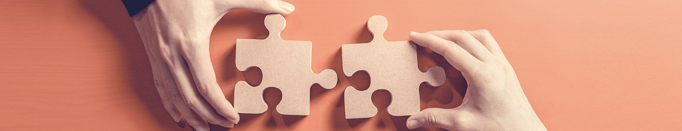 puzzle puzzle
