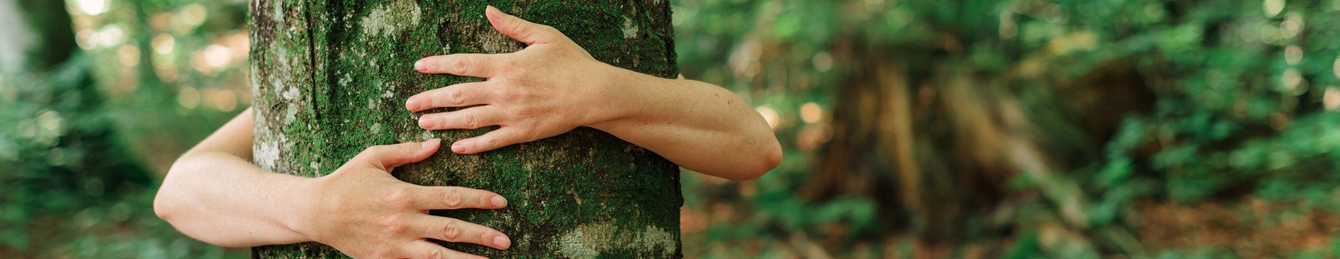 Natura Natura
